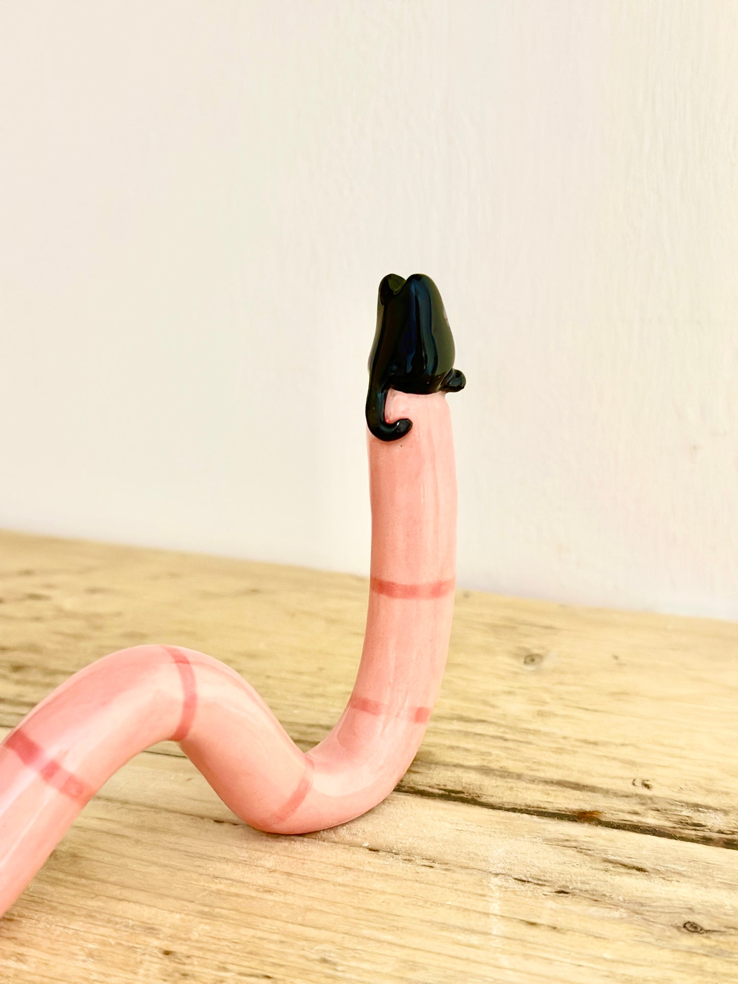 Cat Worm