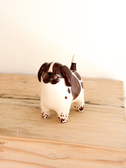 Springer Spaniel