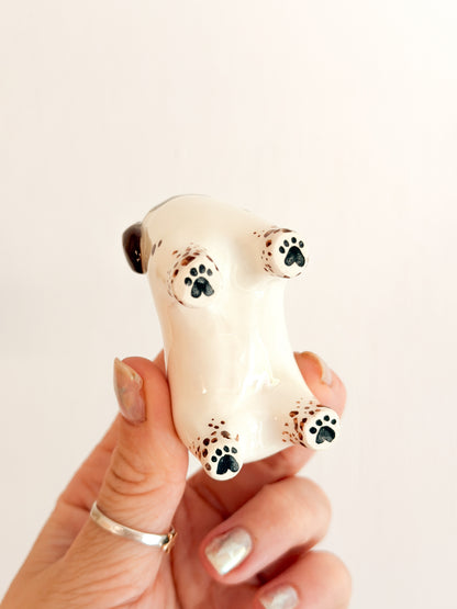 Springer Spaniel