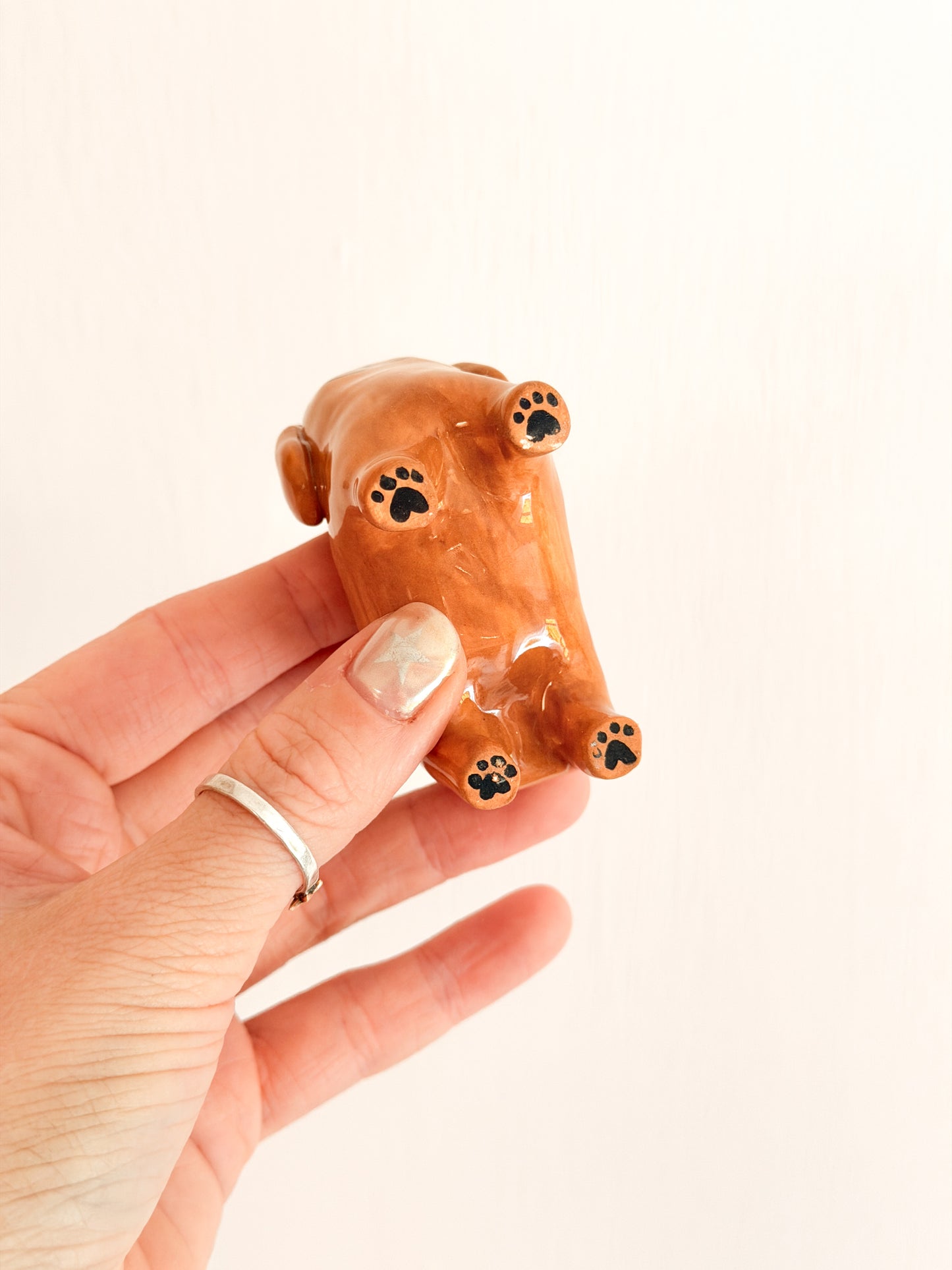 Cocker Spaniel