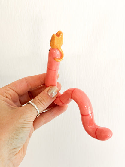 Cat Worm