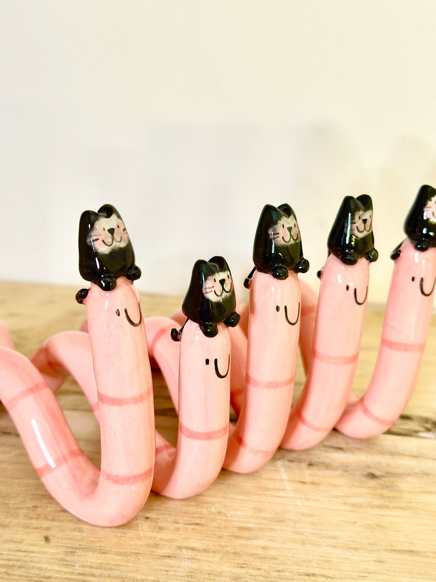 Cat Worm