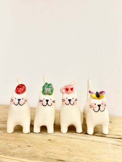 Butterfly Head Cat